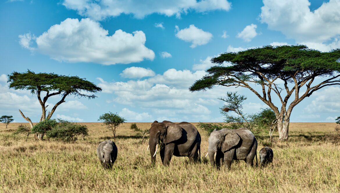 Important places in Kenya to visit